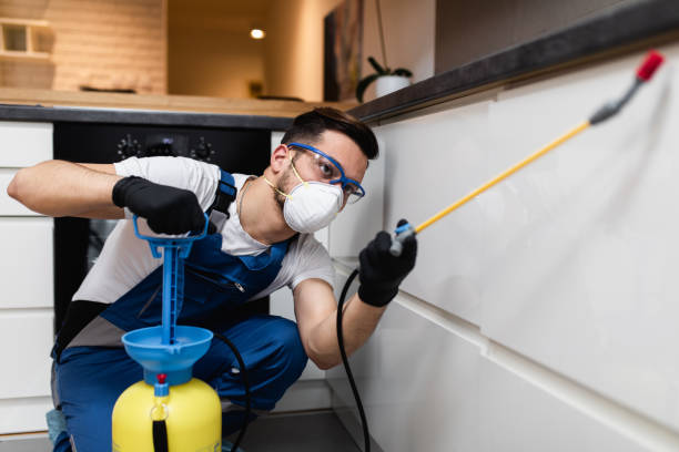 Best Wildlife Control Services  in Key Largo, FL