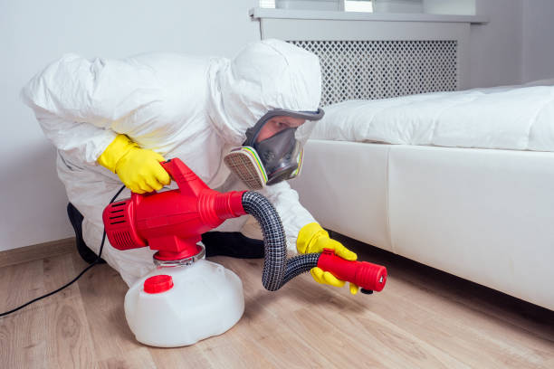 Best Wasp Removal Services  in Key Largo, FL