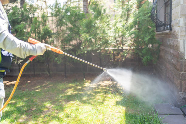 Best Mosquito Control Services  in Key Largo, FL