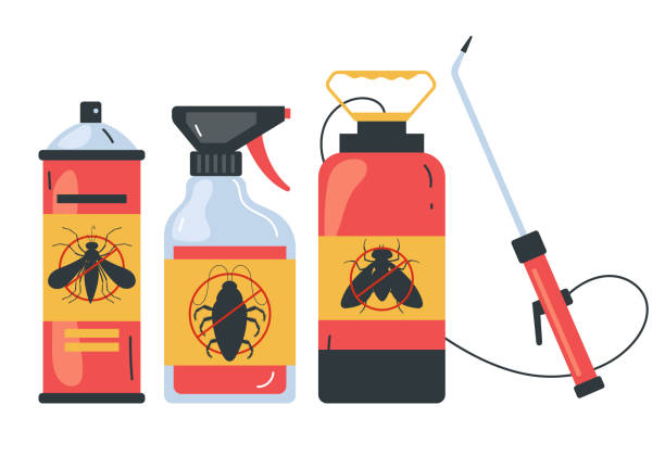 Best Termite Control Services  in Key Largo, FL