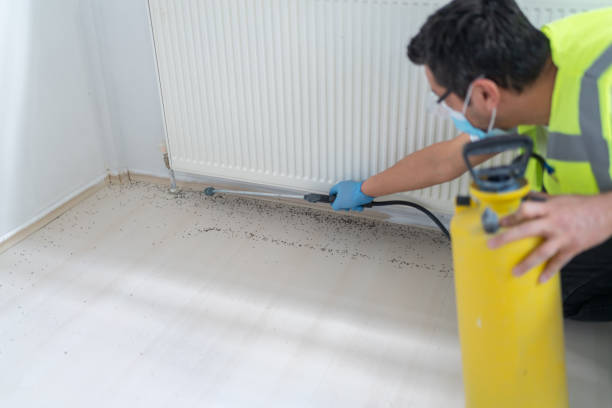 Best Local Pest Control Services  in Key Largo, FL