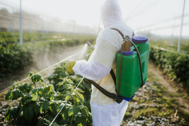 Best Pest Control Treatment  in Key Largo, FL